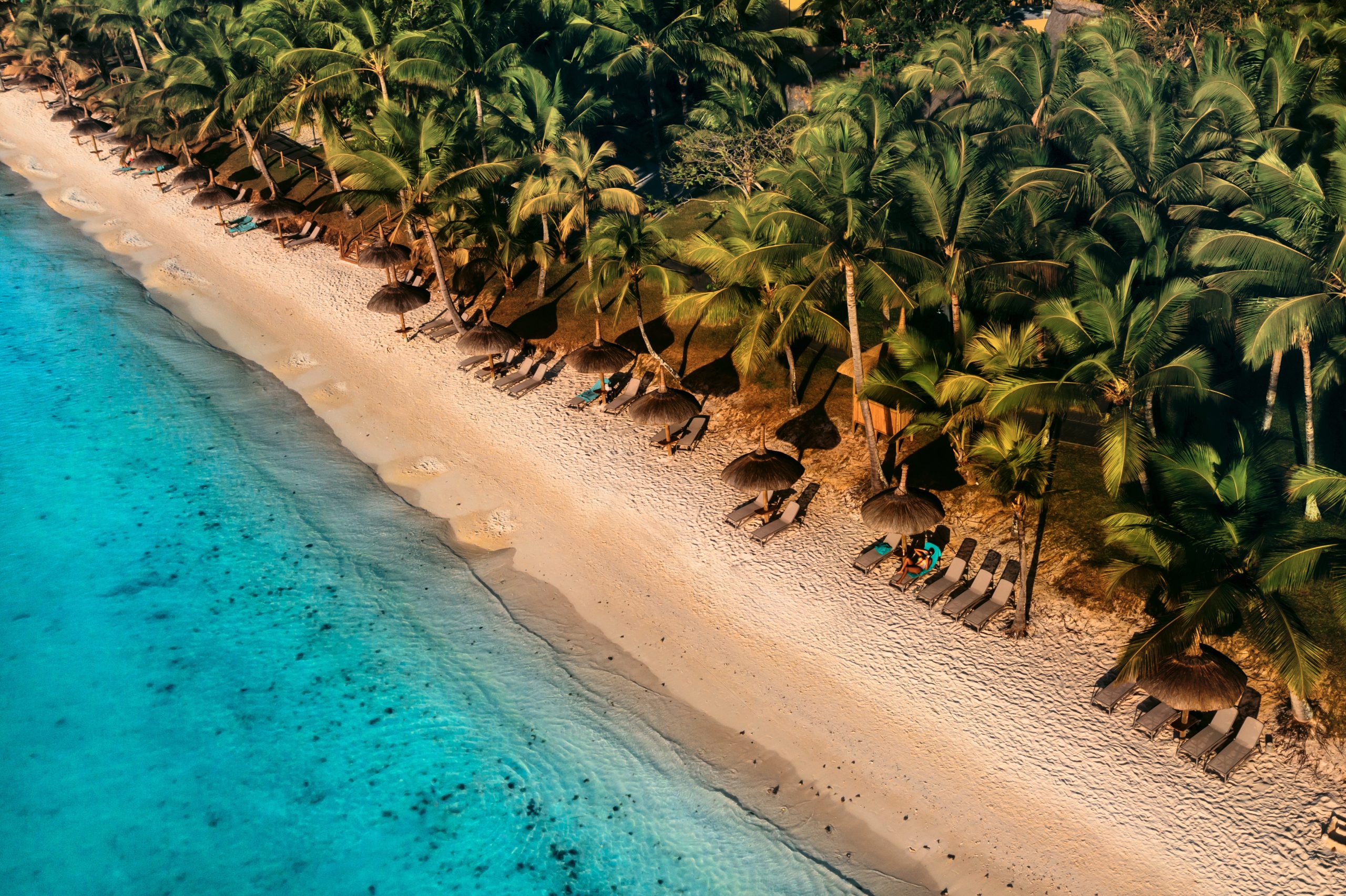 Case Studies 11 svg+xml;charset=utf