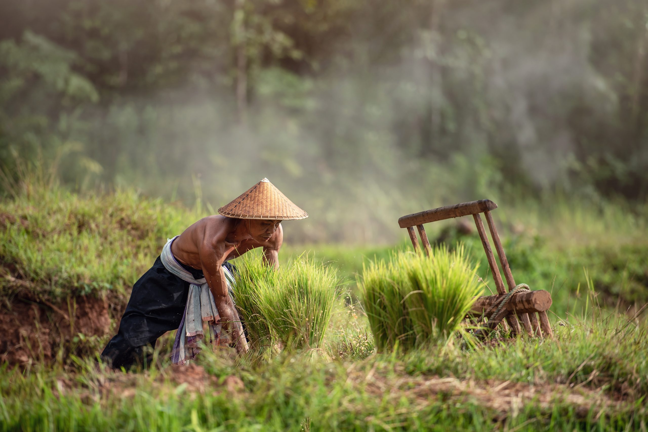 Case Studies 8 svg+xml;charset=utf